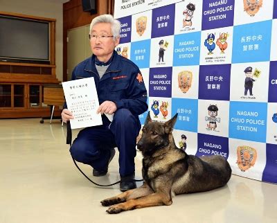 狗狗頭|属託警察犬出動! 認知症の行方不明者発見へ 訓練に励む7頭 長崎